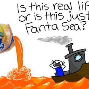 Meet your Posher, Brandi-lee